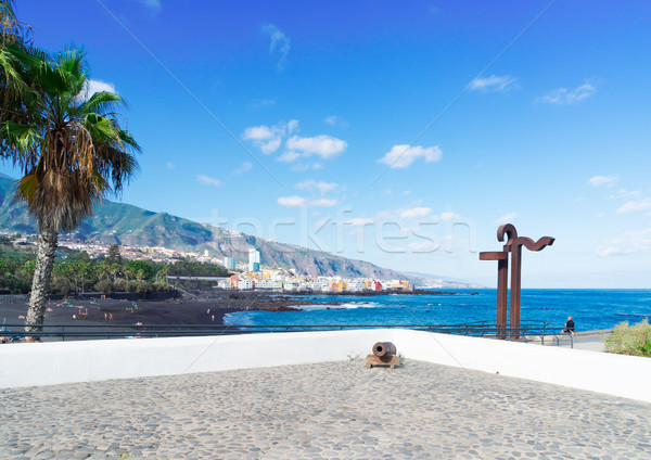 LA Tenerife híres tengerpart Spanyolország virág Stock fotó © neirfy
