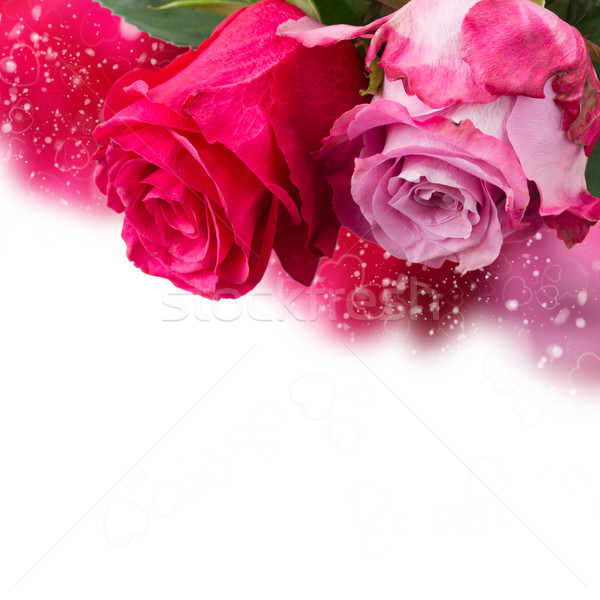 Twee roze bloemen donkere licht Stockfoto © neirfy