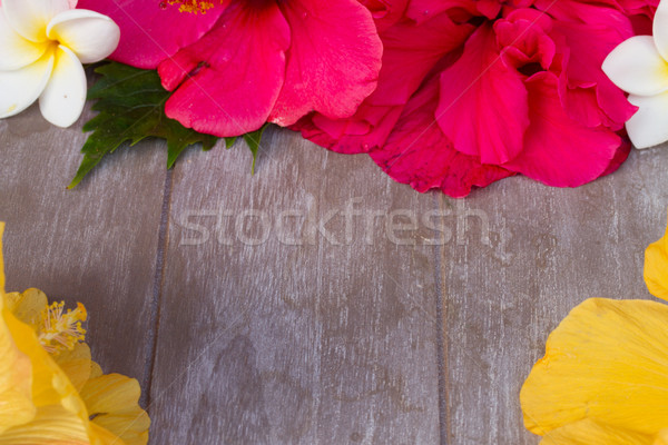Colorato hibiscus fiori tag frame tavolo in legno Foto d'archivio © neirfy