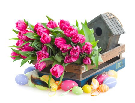 復活節彩蛋 鳥籠 兔 表 孤立 白 商業照片 © neirfy