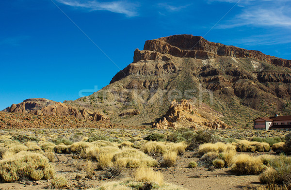 valley of Teide, Tenerife, Spain Stock photo © neirfy