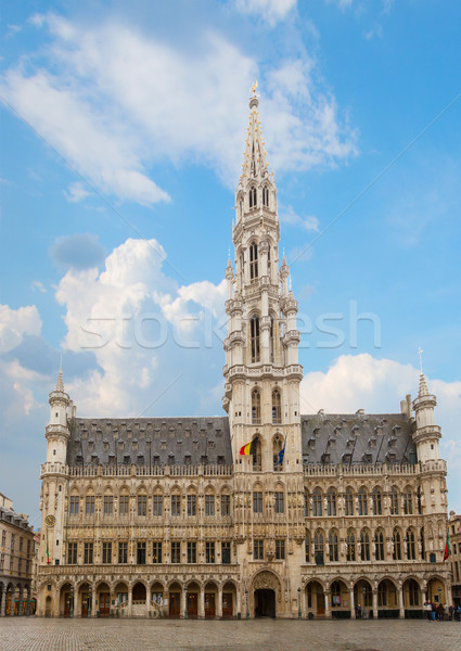 Town Hall, Brussels Stock photo © neirfy