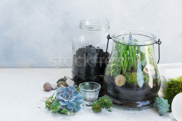 Jardín dentro albañil jar dos primavera Foto stock © neirfy