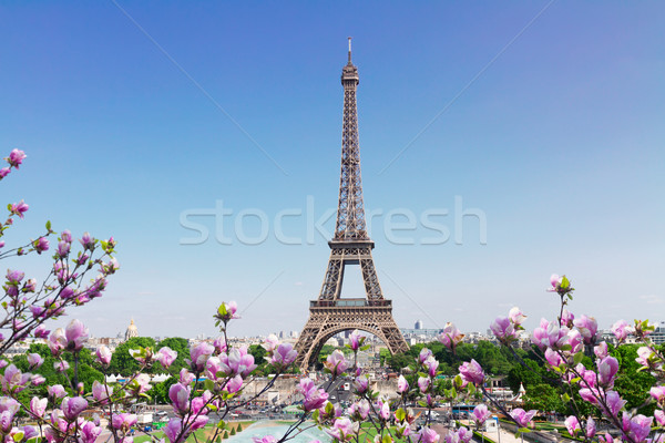 Eyfel Kulesi Paris Cityscape bahar ağaç Stok fotoğraf © neirfy