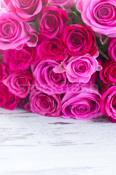 Foto d'archivio: Rosa · fresche · rose · bouquet · confine · bianco