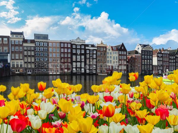 Maisons Pays-Bas typique vieux canal [[stock_photo]] © neirfy