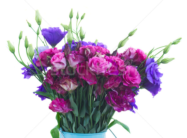bunch  of  violet and mauve eustoma flowers Stock photo © neirfy