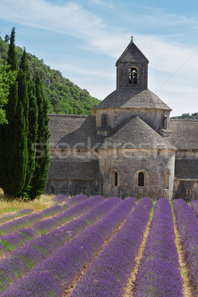 аббатство Франция лет день Сток-фото © neirfy