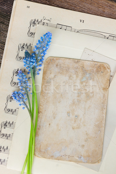 Muscari flowers and paper note Stock photo © neirfy