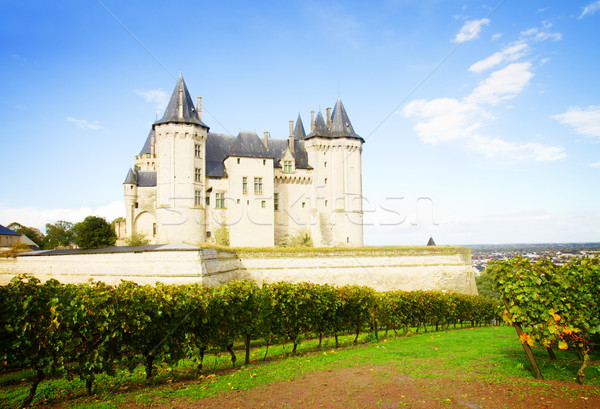 Saumur castle and vineyards Stock photo © neirfy
