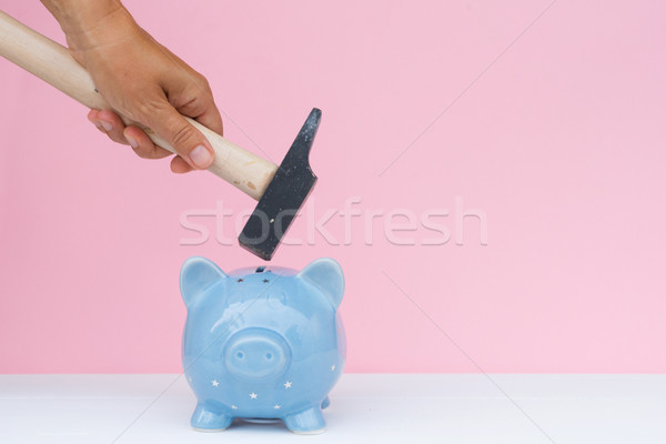 Piggy bank, savings concept Stock photo © neirfy