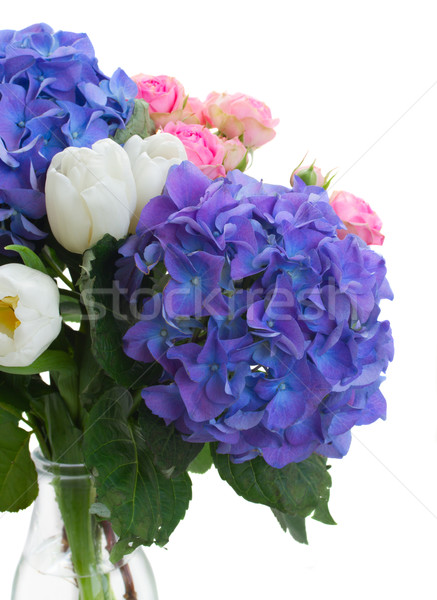 white tulips, pink roses and blue hortensia flowers Stock photo © neirfy