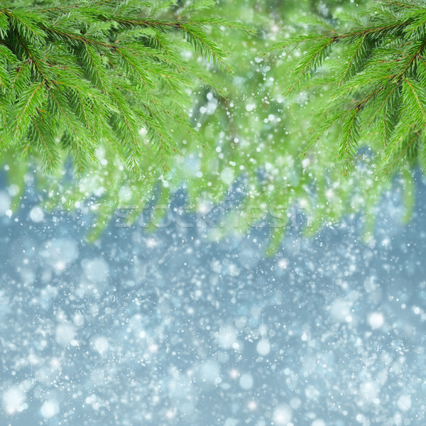Fenyőfa hó karácsony zuhan égbolt fa Stock fotó © neirfy