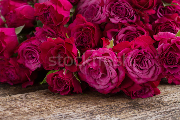 pile  of mauve roses Stock photo © neirfy