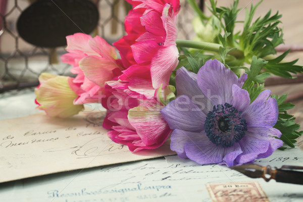 Caneta antigo cartas flores velho retro Foto stock © neirfy