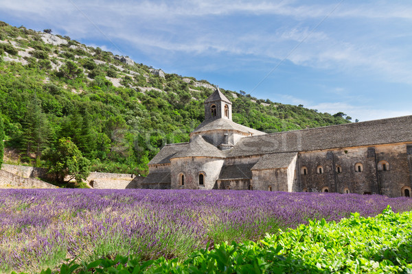 Abbey Senanque and Lavender field, France Stock photo © neirfy