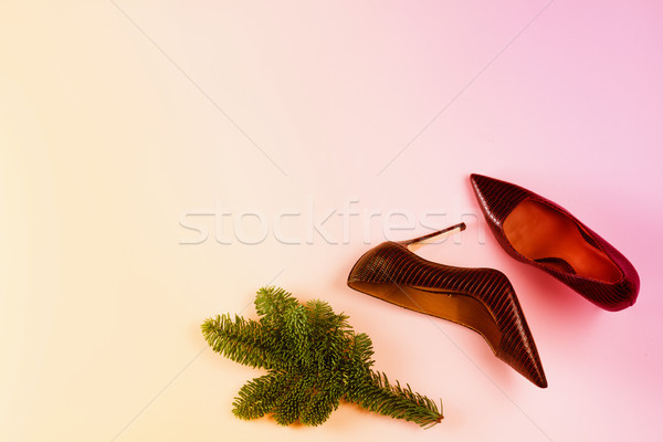 Hight heel shoes for Christmas party Stock photo © neirfy
