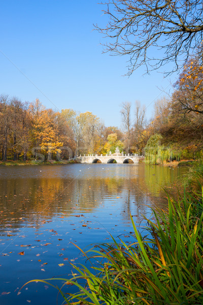 Autunno parco Varsavia alberi blu stagno Foto d'archivio © neirfy