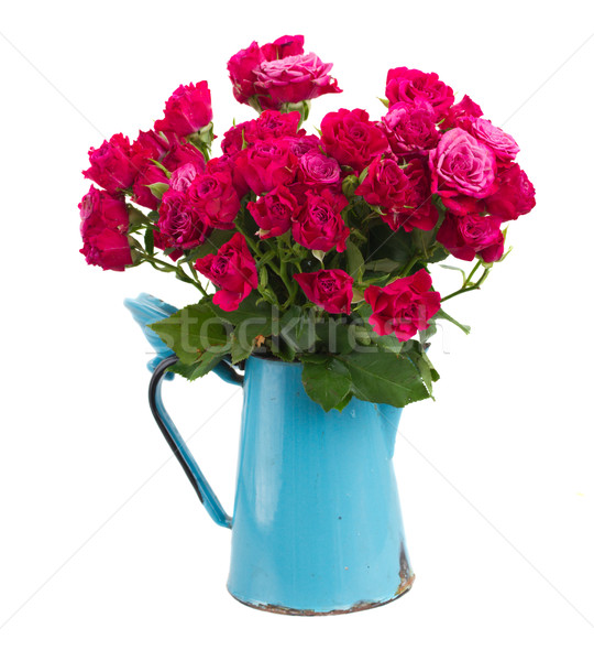 Köteg friss mályvaszínű rózsák kék edény Stock fotó © neirfy