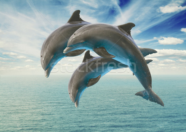 Trzy skoki delfiny pejzaż morski głęboko ocean Zdjęcia stock © neirfy