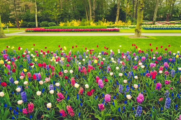 Formal spring garden Stock photo © neirfy