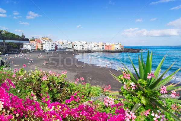 Puerto de la Cruz, Tenerife Stock photo © neirfy