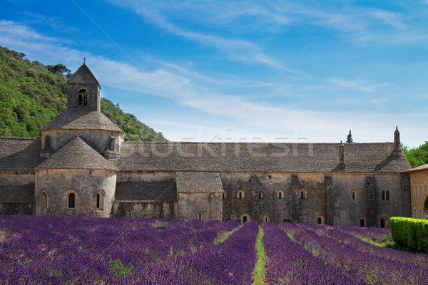 Foto stock: Abadia · campo · de · lavanda · França · verão · dia