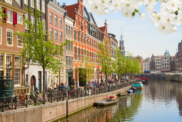 Stockfoto: Een · Amsterdam · holland · kanaal · oude · binnenstad · groene