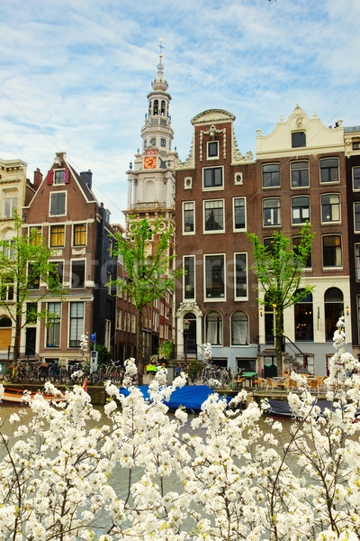 中世紀 房屋 阿姆斯特丹 荷蘭 花卉 商業照片 © neirfy