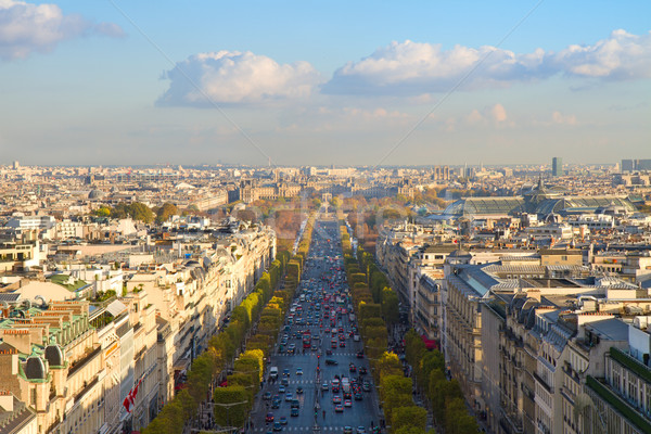 The Avenue des Champs-Elysees, Paris Stock photo © neirfy