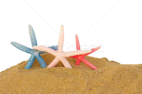 Drei Seestern Sand isoliert weiß Strand Stock foto © neirfy