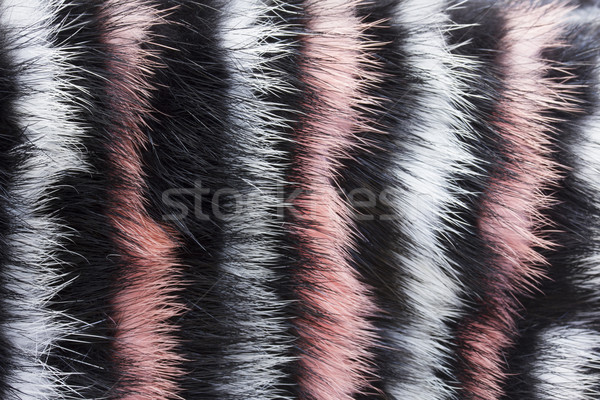 abstract painted fur background Stock photo © neirfy