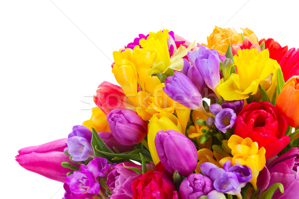 花束 光明 春天的花朵 花卉 孤立 商業照片 © neirfy