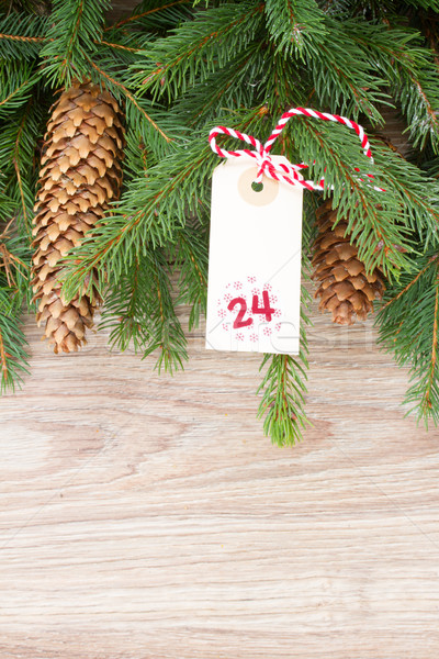 evergreen tree with cones and christmas tag Stock photo © neirfy