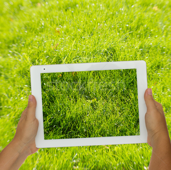 Stock photo: holding tablet against spring green background