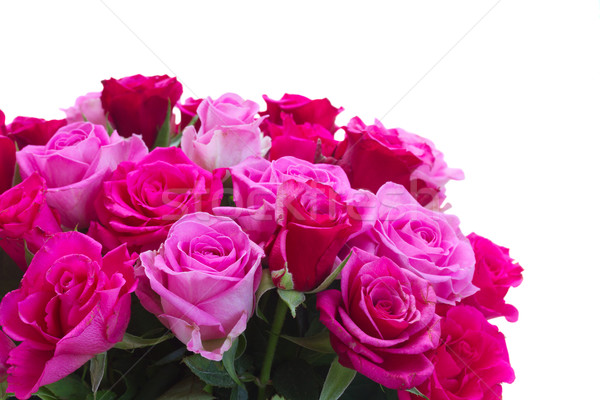 花束 新鮮 粉紅色 玫瑰 品紅 玫瑰 商業照片 © neirfy