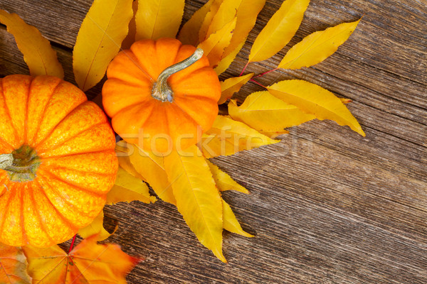 Kürbis Tabelle orange Kürbisse fallen gelb Stock foto © neirfy