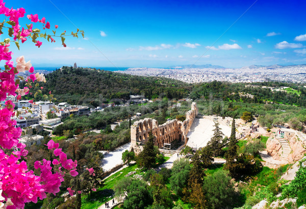 Amphitheater Akropolis Athen Stadtbild Griechenland Blumen Stock foto © neirfy