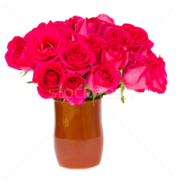 mauve fresh roses in pot Stock photo © neirfy