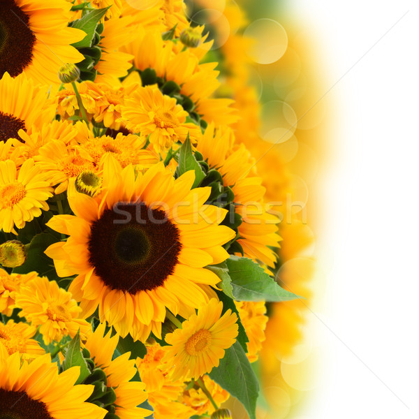 sunflowers and marigold flowers bouquet Stock photo © neirfy