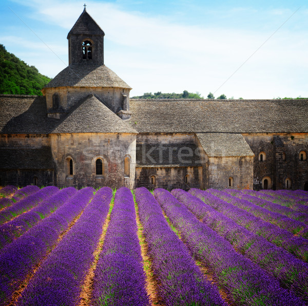 Abbazia campo di lavanda Francia costruzione fioritura Foto d'archivio © neirfy