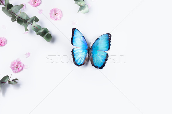 Foto stock: Verde · floral · quadro · prata · dólar · rosa