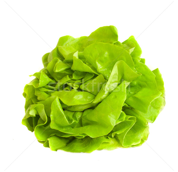 Verde insalata isolato bianco alimentare Foto d'archivio © neirfy
