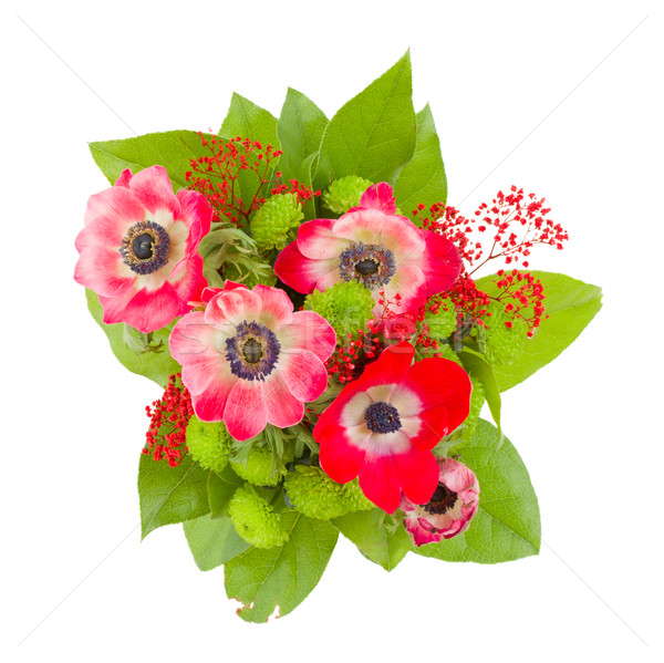 anemone flowers bouquet Stock photo © neirfy