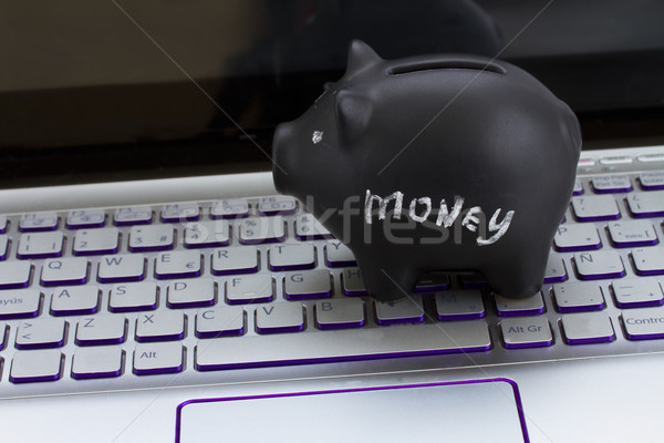 internet shopping concept Stock photo © neirfy