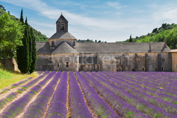 Abdij lavendel veld Frankrijk wereld beroemd Stockfoto © neirfy
