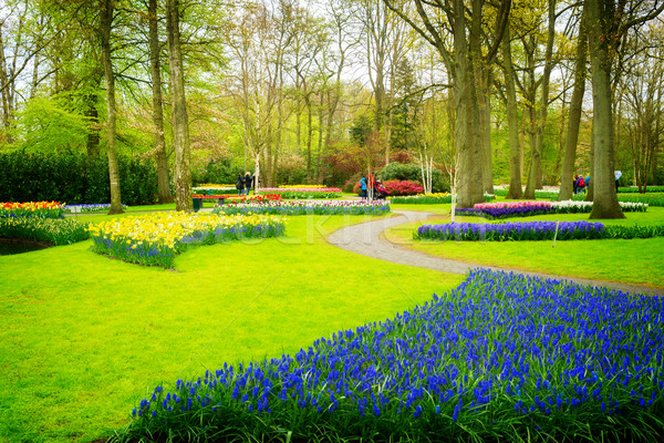 Formal spring garden Stock photo © neirfy