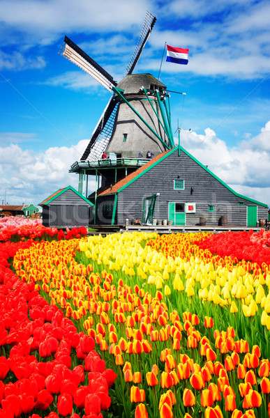 Hollanda rüzgâr geleneksel fırıldak Hollanda Retro Stok fotoğraf © neirfy