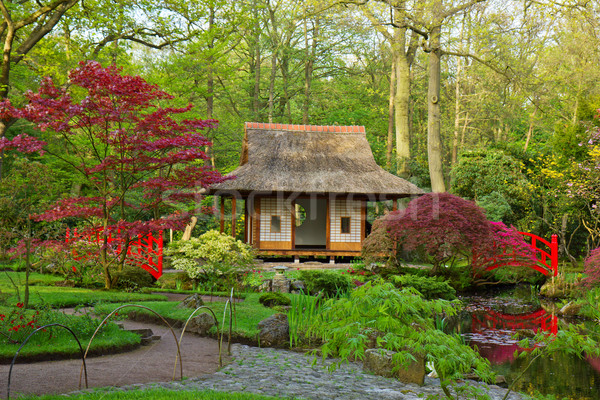 Japanese garden Stock photo © neirfy