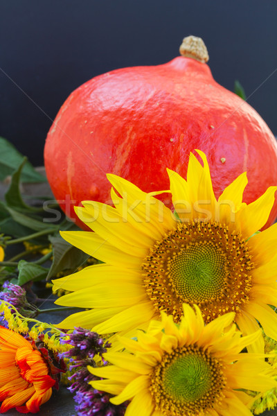 fall sunflowers with pumpkin Stock photo © neirfy